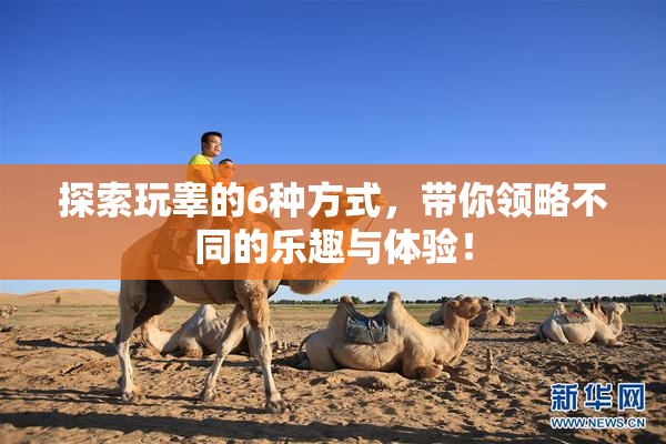 探索玩睾的6种方式，带你领略不同的乐趣与体验！
