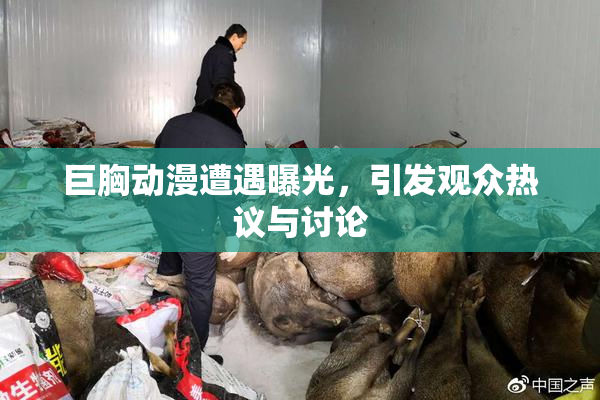 巨胸动漫遭遇曝光，引发观众热议与讨论