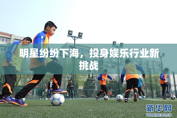 明星纷纷下海，投身娱乐行业新挑战