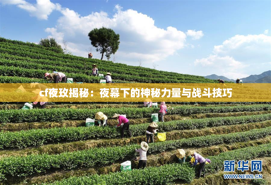cf夜玫揭秘：夜幕下的神秘力量与战斗技巧