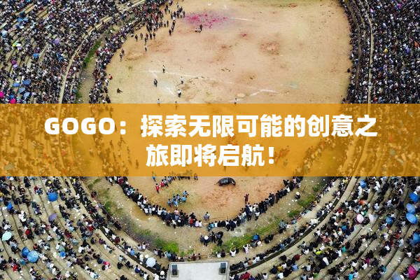 GOGO：探索无限可能的创意之旅即将启航！