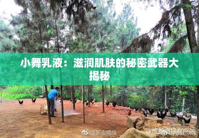 小舞乳液：滋润肌肤的秘密武器大揭秘