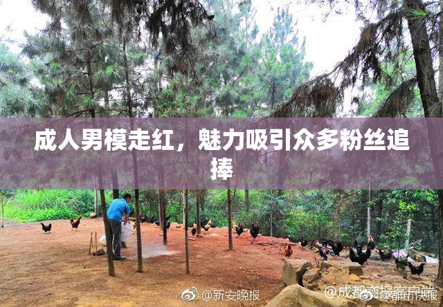成人男模走红，魅力吸引众多粉丝追捧