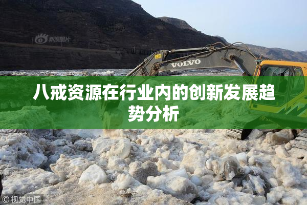 八戒资源在行业内的创新发展趋势分析