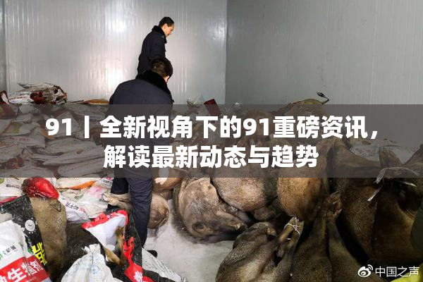 91丨全新视角下的91重磅资讯，解读最新动态与趋势