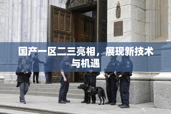 国产一区二三亮相，展现新技术与机遇