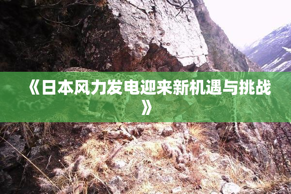 《日本风力发电迎来新机遇与挑战》