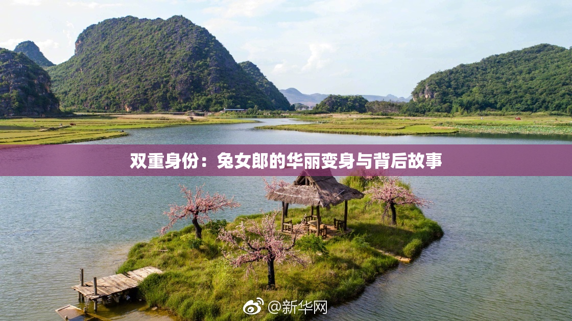 双重身份：兔女郎的华丽变身与背后故事