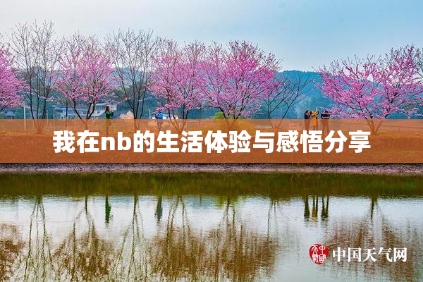 我在nb的生活体验与感悟分享