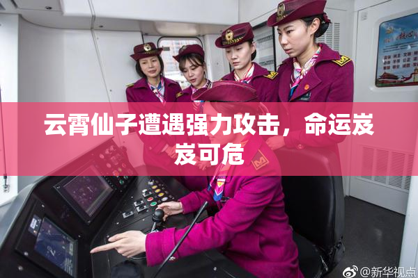 云霄仙子遭遇强力攻击，命运岌岌可危