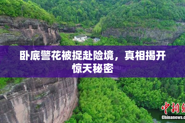 卧底警花被捉赴险境，真相揭开惊天秘密