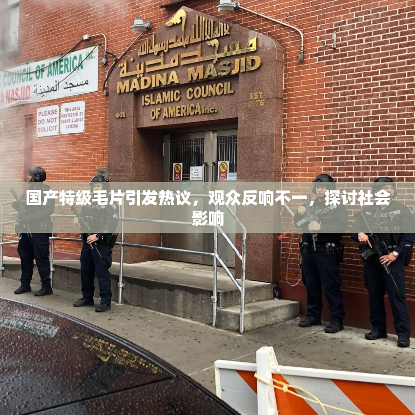 国产特级毛片引发热议，观众反响不一，探讨社会影响