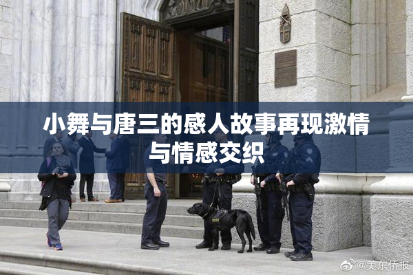 小舞与唐三的感人故事再现激情与情感交织