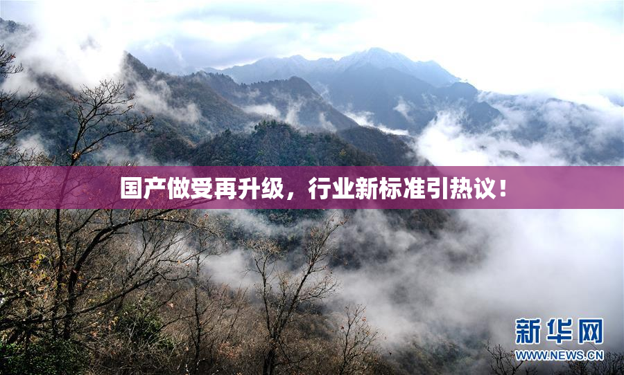 国产做受再升级，行业新标准引热议！