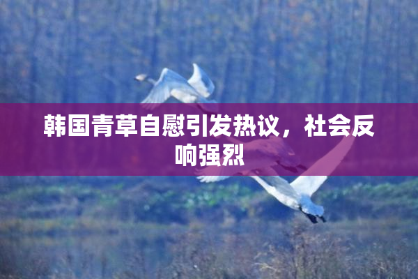 韩国青草自慰引发热议，社会反响强烈