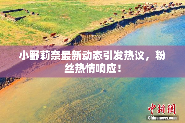 小野莉奈最新动态引发热议，粉丝热情响应！
