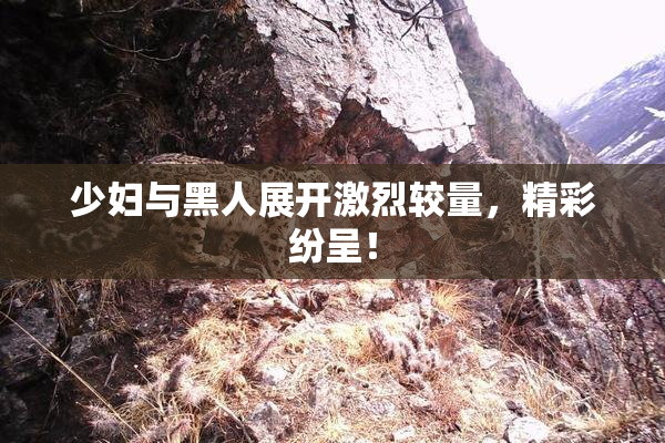 少妇与黑人展开激烈较量，精彩纷呈！