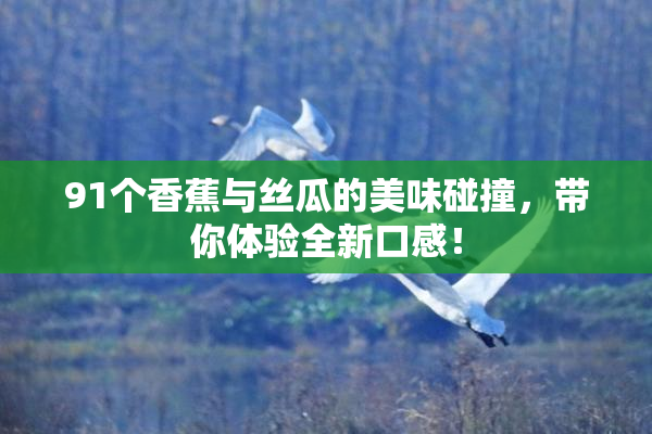 91个香蕉与丝瓜的美味碰撞，带你体验全新口感！