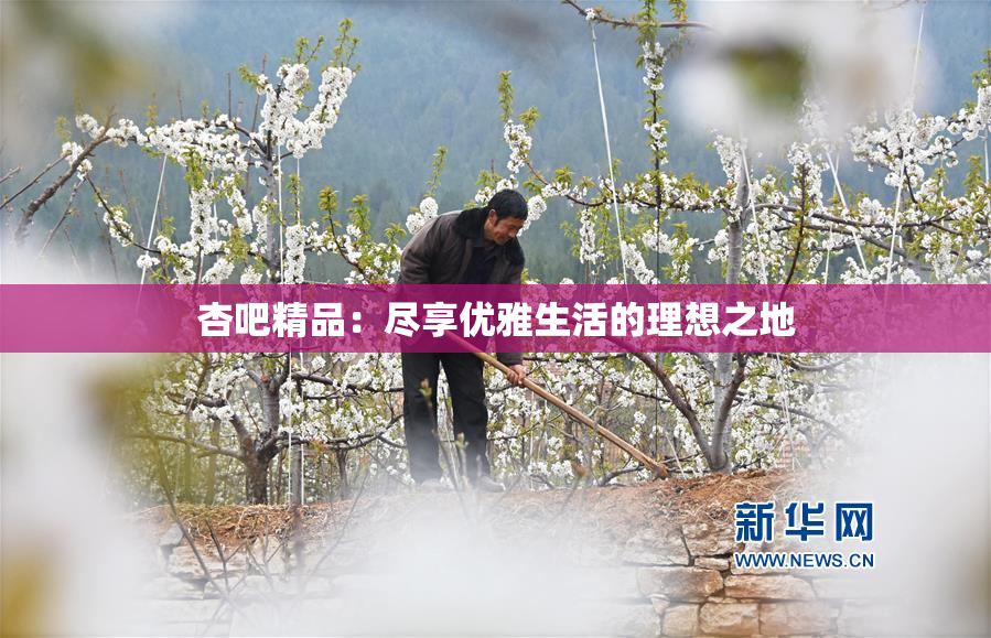 杏吧精品：尽享优雅生活的理想之地