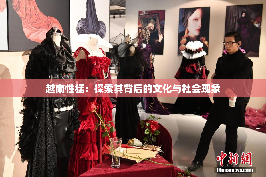 越南性猛：探索其背后的文化与社会现象