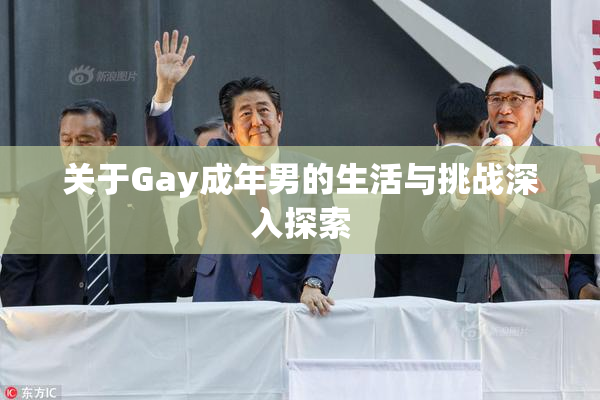 关于Gay成年男的生活与挑战深入探索