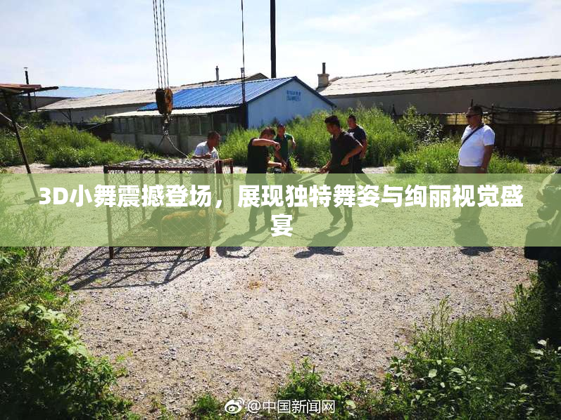 3D小舞震撼登场，展现独特舞姿与绚丽视觉盛宴