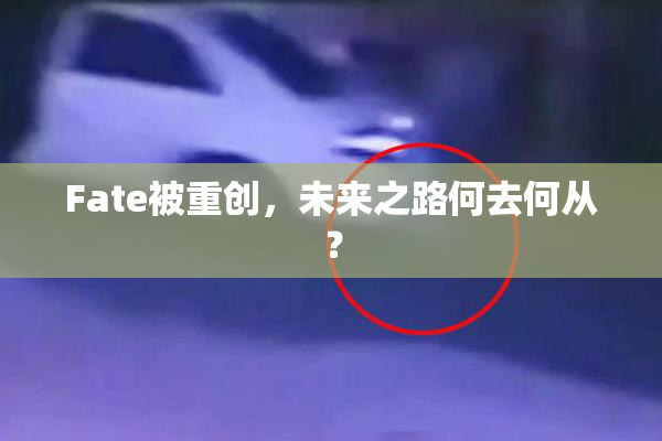Fate被重创，未来之路何去何从？
