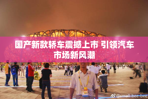 国产新款轿车震撼上市 引领汽车市场新风潮