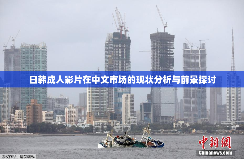 日韩成人影片在中文市场的现状分析与前景探讨