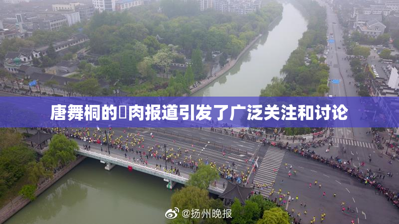 唐舞桐的婬肉报道引发了广泛关注和讨论