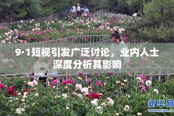 9·1短视引发广泛讨论，业内人士深度分析其影响
