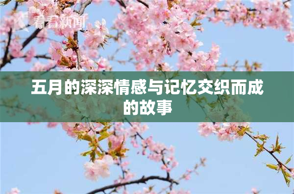 五月的深深情感与记忆交织而成的故事
