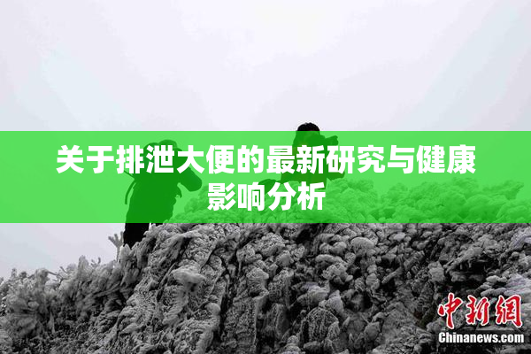 关于排泄大便的最新研究与健康影响分析