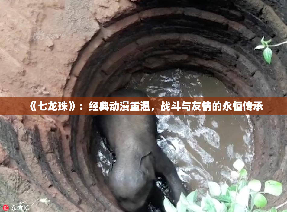 《七龙珠》：经典动漫重温，战斗与友情的永恒传承