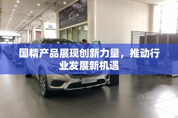 国精产品展现创新力量，推动行业发展新机遇