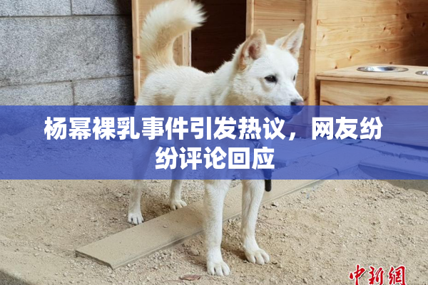 杨幂裸乳事件引发热议，网友纷纷评论回应