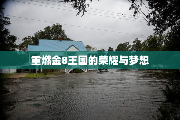 重燃金8王国的荣耀与梦想