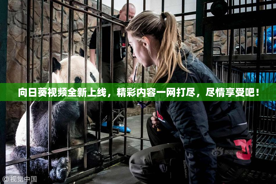 向日葵视频全新上线，精彩内容一网打尽，尽情享受吧！