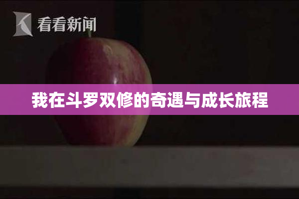 我在斗罗双修的奇遇与成长旅程