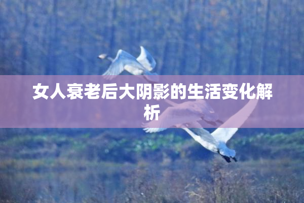女人衰老后大阴影的生活变化解析