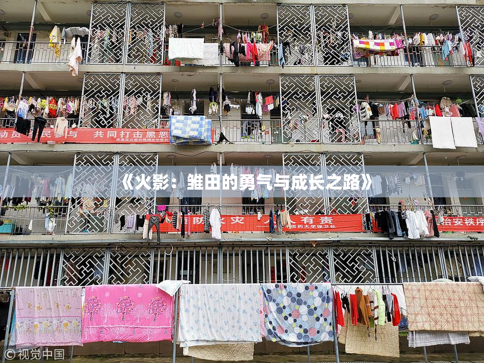 《火影：雏田的勇气与成长之路》