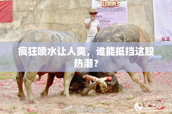 疯狂喷水让人爽，谁能抵挡这股热潮？