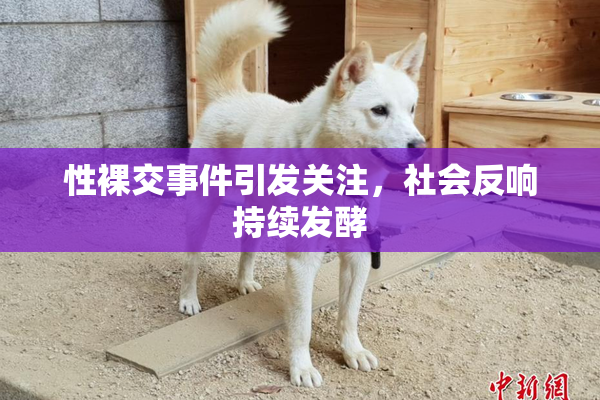 性裸交事件引发关注，社会反响持续发酵