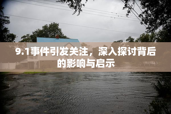 9.1事件引发关注，深入探讨背后的影响与启示