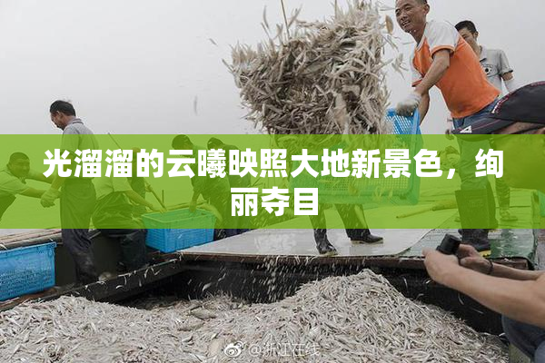 光溜溜的云曦映照大地新景色，绚丽夺目