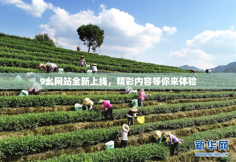 9幺网站全新上线，精彩内容等你来体验