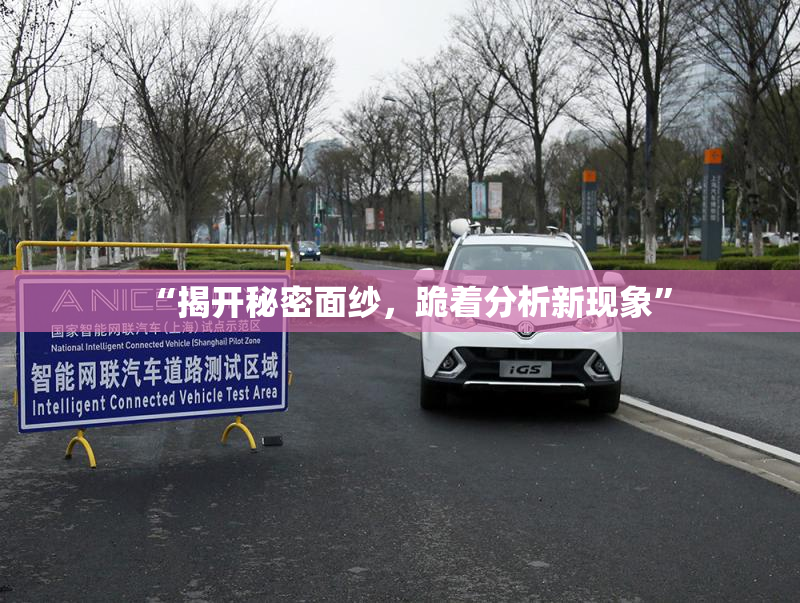 “揭开秘密面纱，跪着分析新现象”