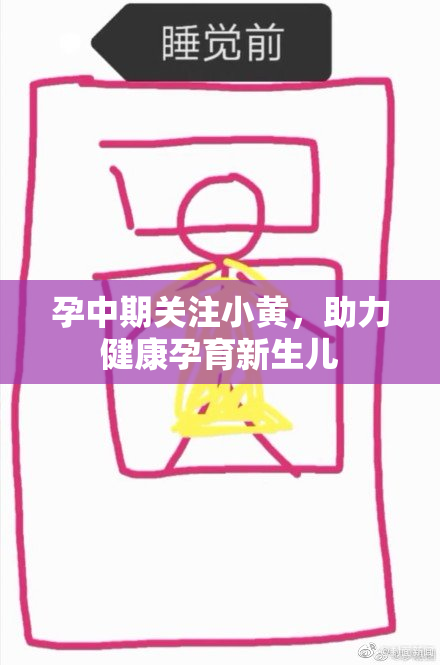 孕中期关注小黄，助力健康孕育新生儿