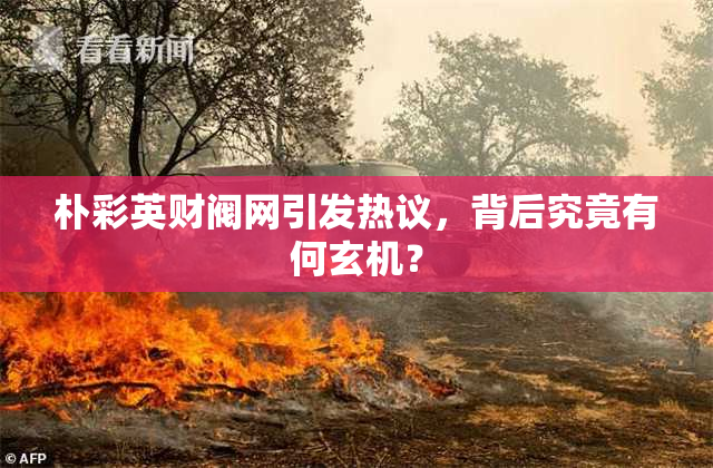 朴彩英财阀网引发热议，背后究竟有何玄机？
