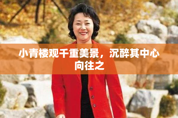 小青楼观千重美景，沉醉其中心向往之